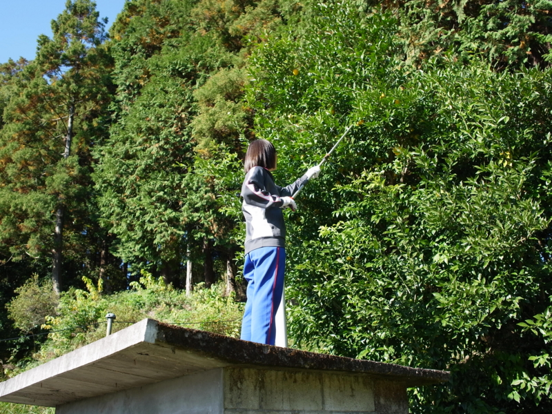 f:id:Greenweekends:20121110091729j:image:w640