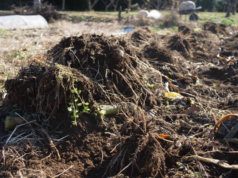 f:id:Greenweekends:20121209101045j:image:w640