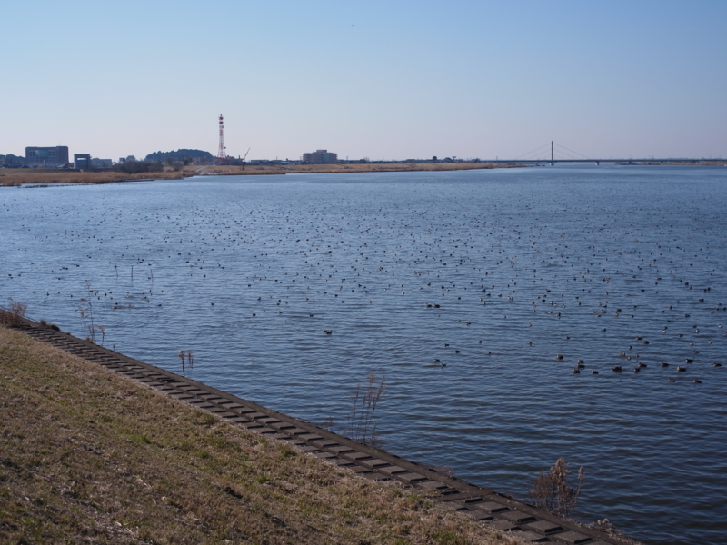 f:id:Greenweekends:20130210143341j:image:w640 f:id:Greenweekends:20130210143341j:image:w640