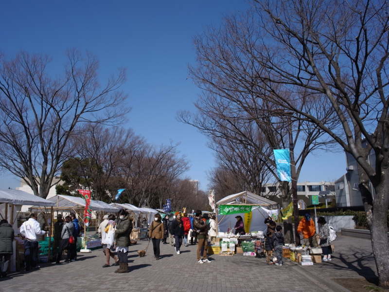 f:id:Greenweekends:20130224110944j:image:w640