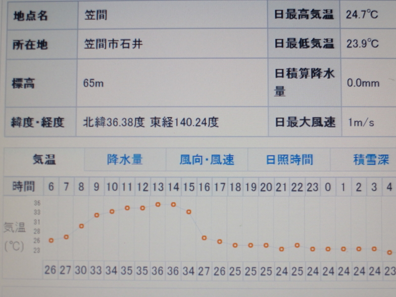 f:id:Greenweekends:20130812060344j:image:w640