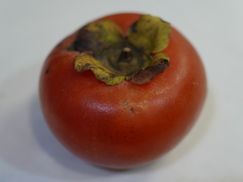 f:id:Greenweekends:20131010221414j:image:w640