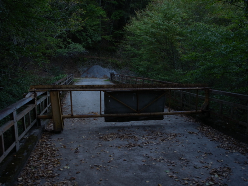 f:id:Greenweekends:20131013171425j:image:w640