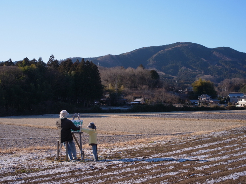 f:id:Greenweekends:20140119084237j:image:w640
