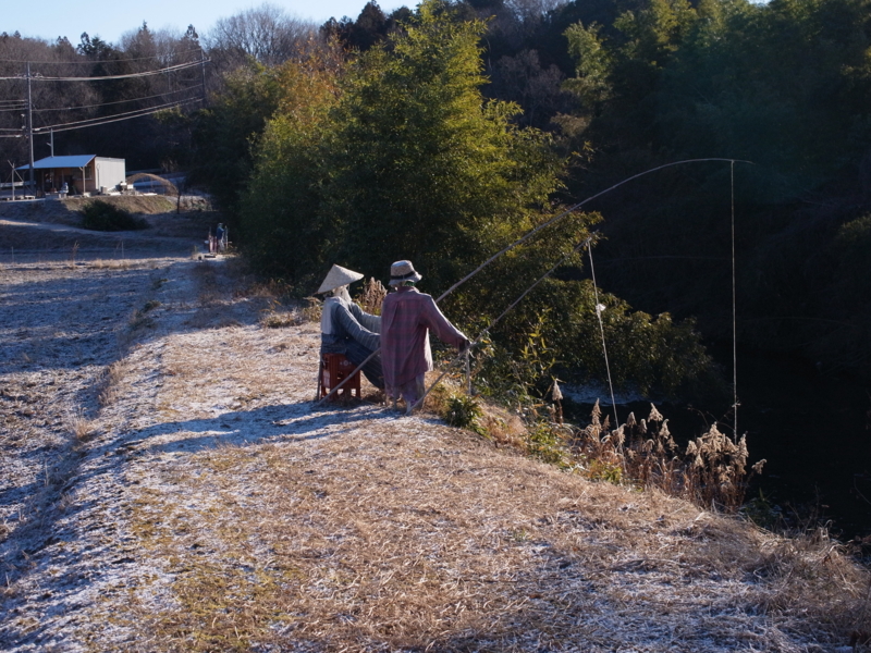 f:id:Greenweekends:20140119085259j:image:w640