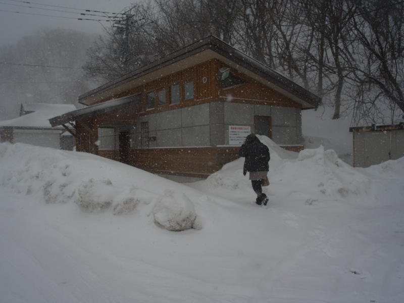 f:id:Greenweekends:20140321115923j:image:w640 f:id:Greenweekends:20140321115923j:image:w640