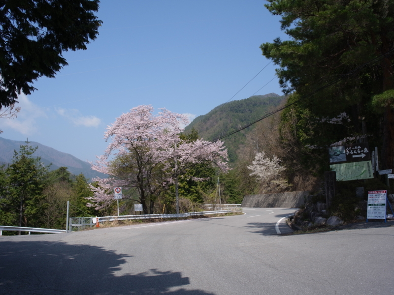 f:id:Greenweekends:20140419102255j:image:w640