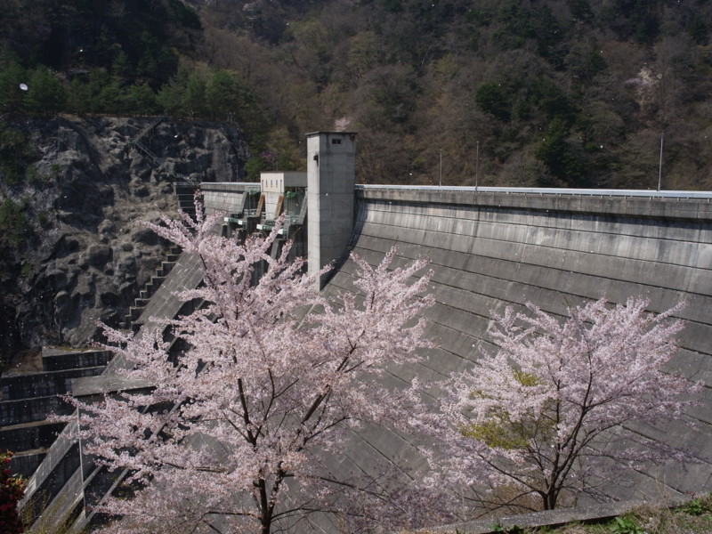 f:id:Greenweekends:20140419103729j:image:w640