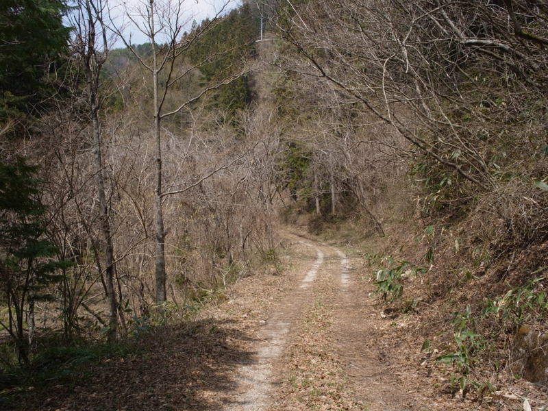 f:id:Greenweekends:20140419115149j:image:w640