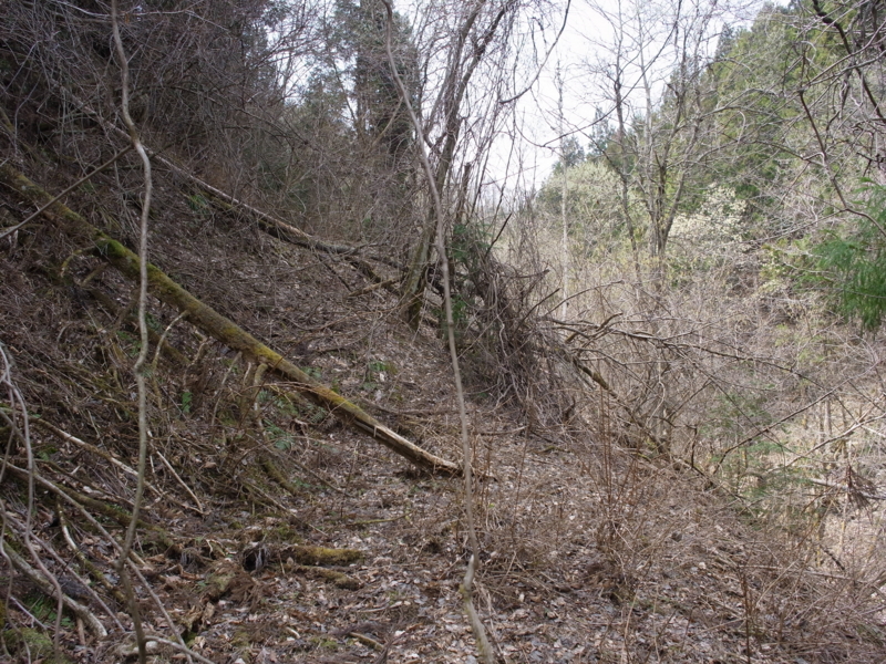 f:id:Greenweekends:20140419122659j:image:w640
