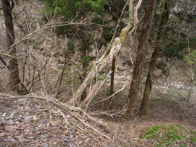 f:id:Greenweekends:20140419122753j:image:w640