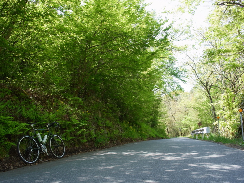 f:id:Greenweekends:20140504090343j:image:w640