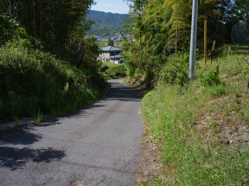 f:id:Greenweekends:20140518084714j:image:w640