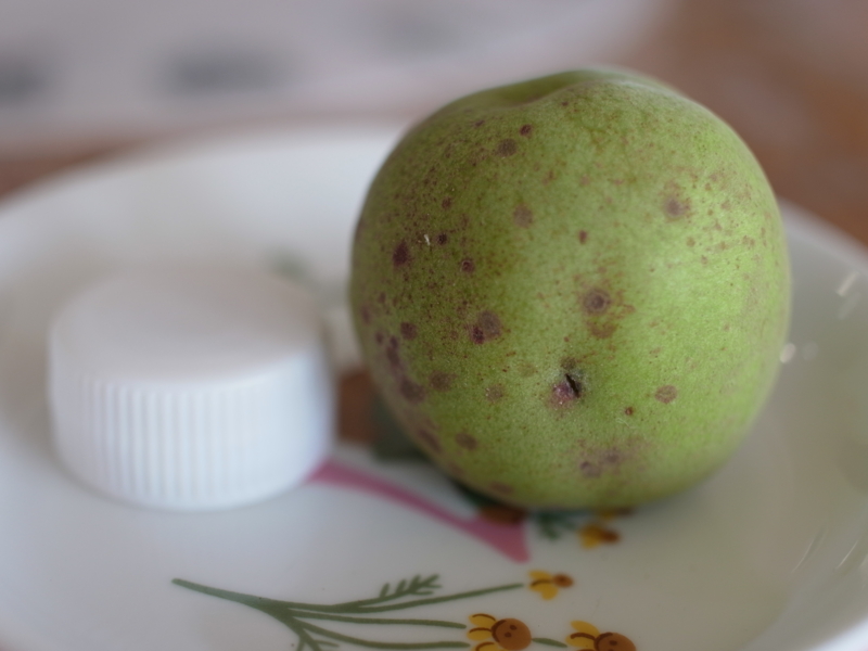 f:id:Greenweekends:20140615082808j:image:w640