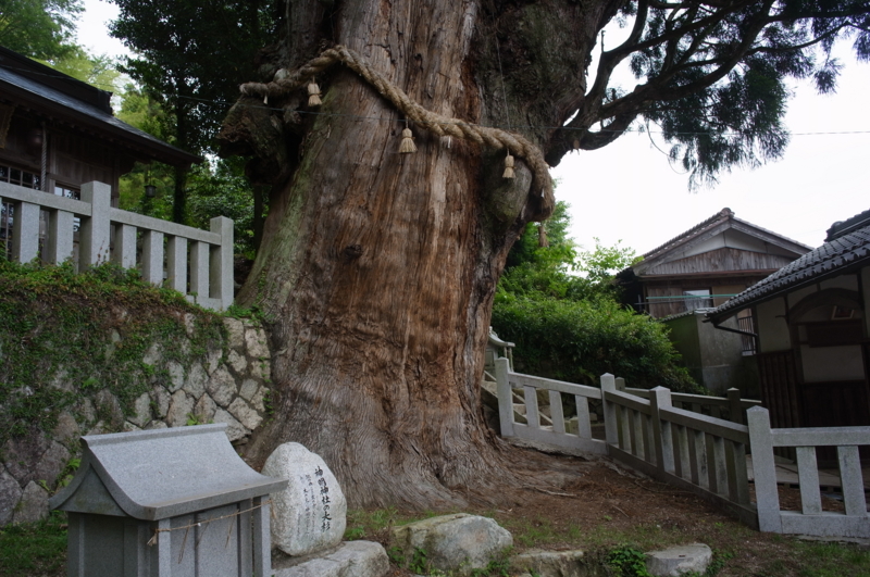 f:id:Greenweekends:20140621102315j:image:w640