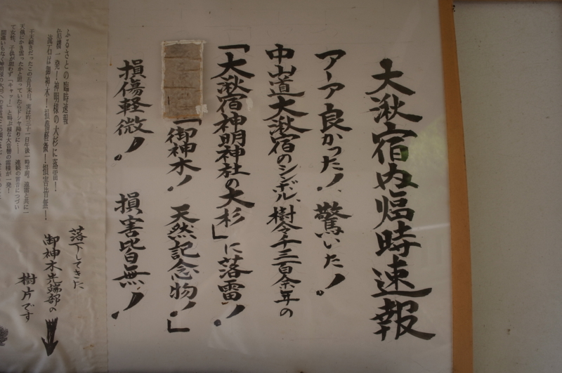 f:id:Greenweekends:20140621102506j:image:w640