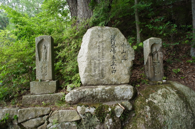 f:id:Greenweekends:20140621110353j:image:w640