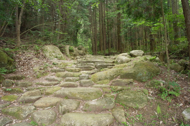 f:id:Greenweekends:20140621110410j:image:w640