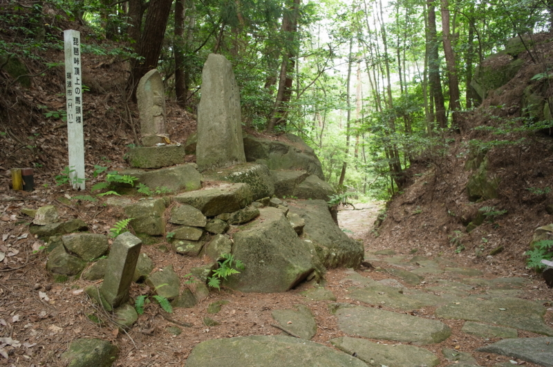 f:id:Greenweekends:20140621111410j:image:w640