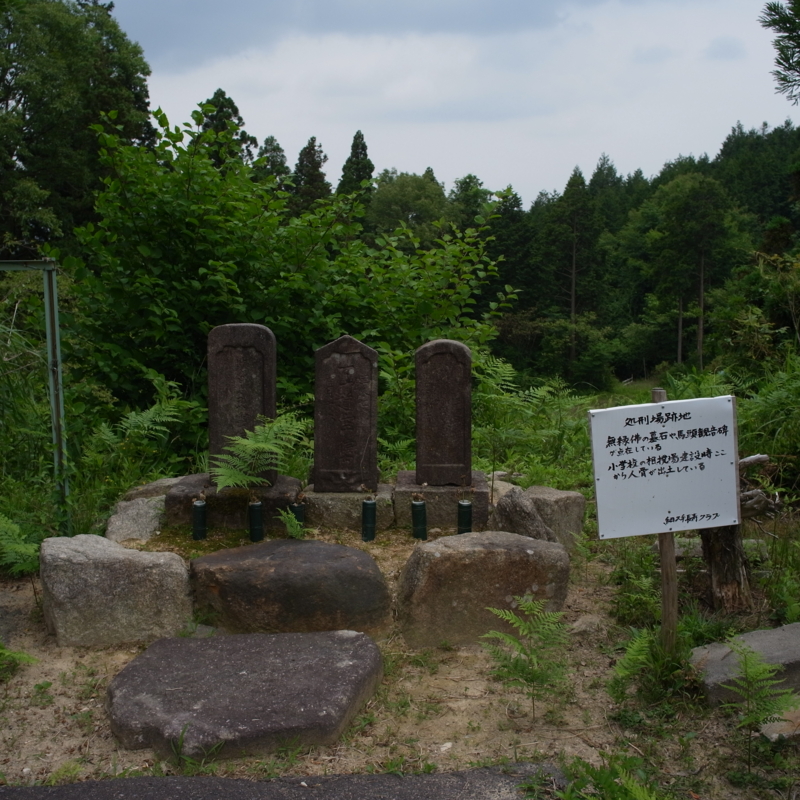 f:id:Greenweekends:20140621122259j:image:w640