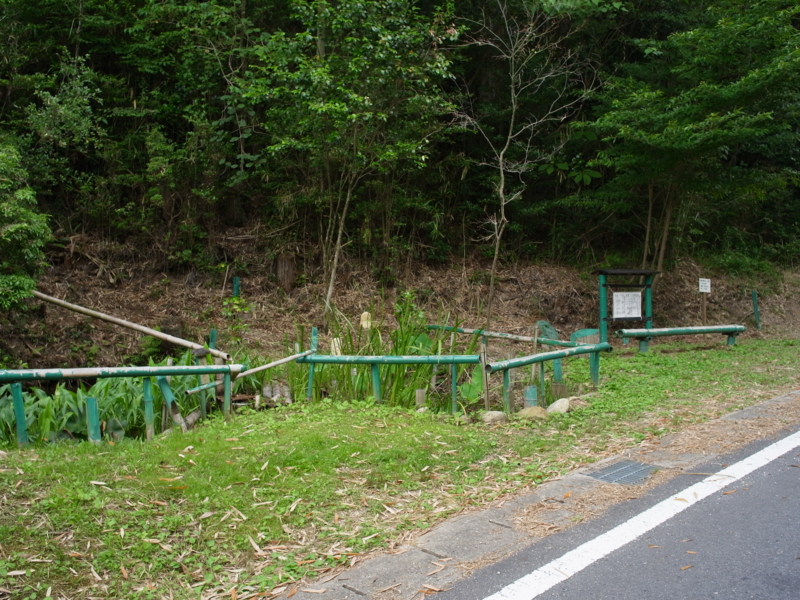 f:id:Greenweekends:20140621123518j:image:w640