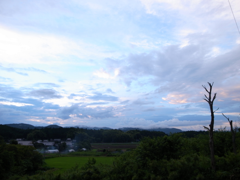 f:id:Greenweekends:20140720191744j:image:w640