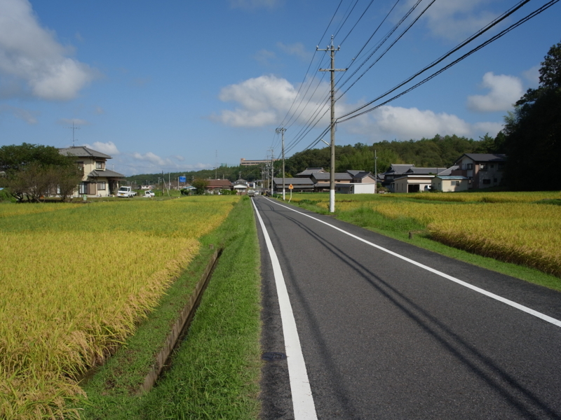 f:id:Greenweekends:20140907091431j:image:w640 f:id:Greenweekends:20140907091431j:image:w640