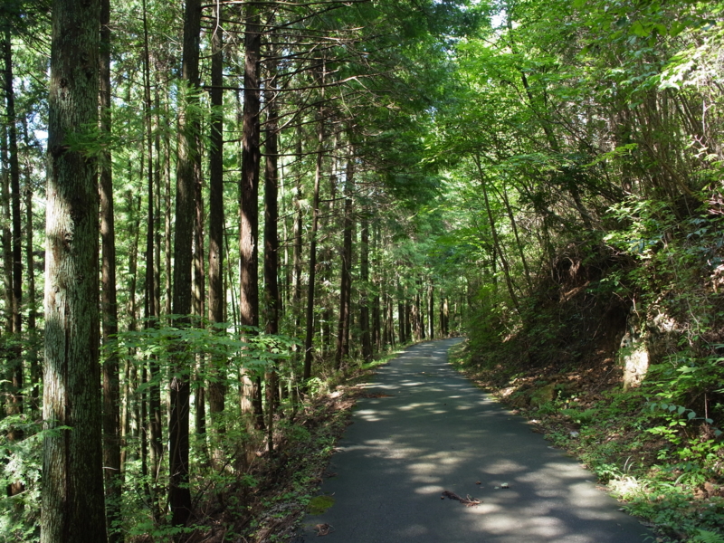 f:id:Greenweekends:20140907131030j:image:w640 f:id:Greenweekends:20140907131030j:image:w640