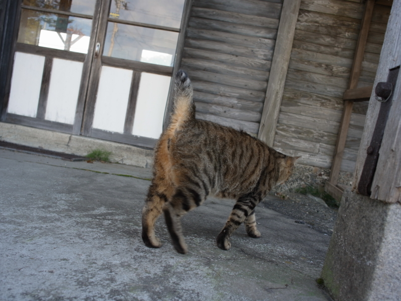 f:id:Greenweekends:20140929082246j:image:w640