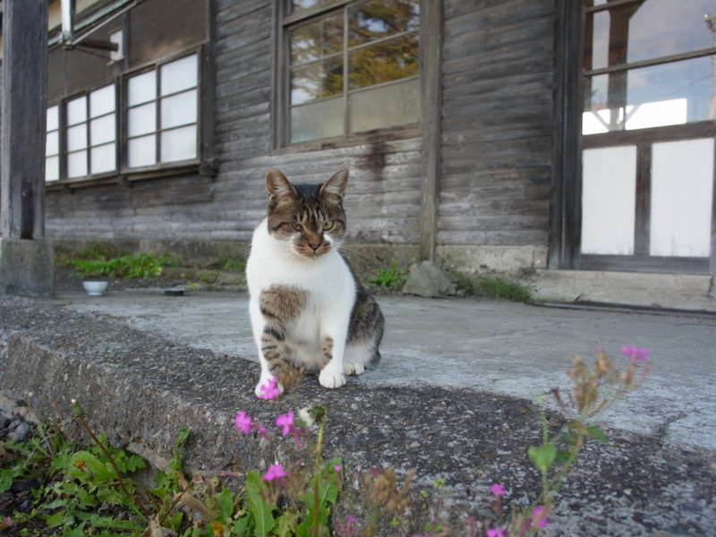 f:id:Greenweekends:20140929082257j:image:w640