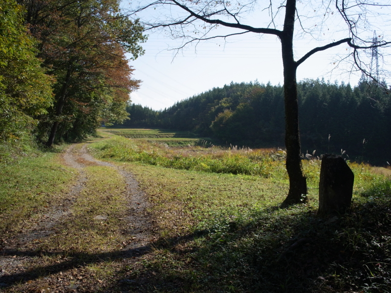 f:id:Greenweekends:20141019093105j:image:w640