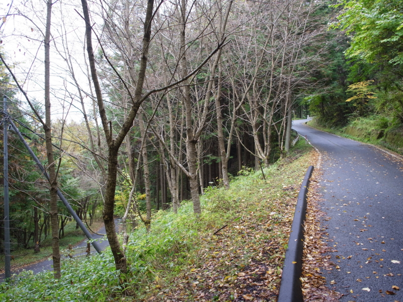 f:id:Greenweekends:20141026100911j:image:w640