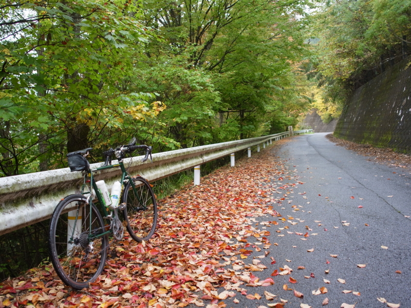 f:id:Greenweekends:20141026102556j:image:w640