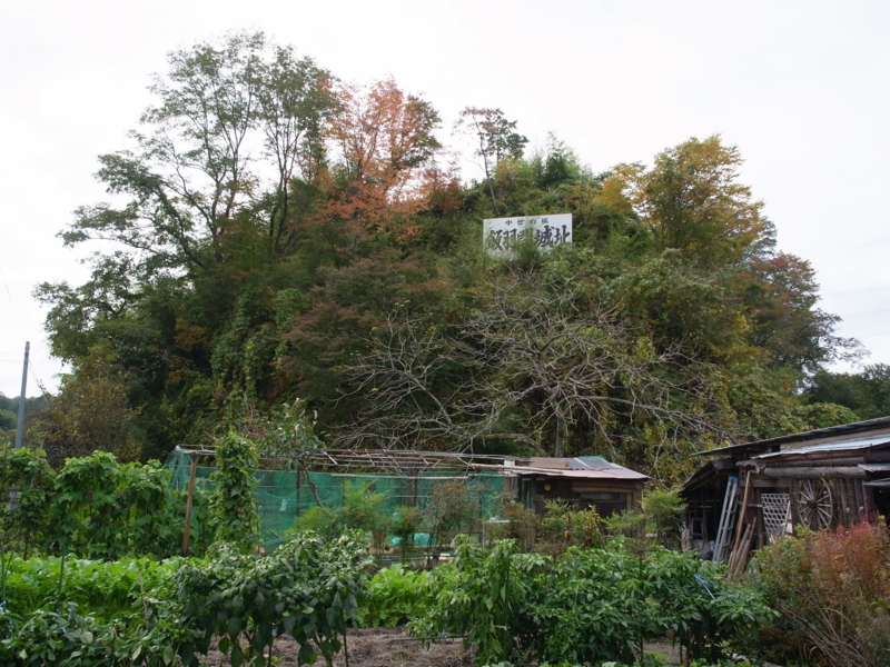f:id:Greenweekends:20141026121346j:image:w640