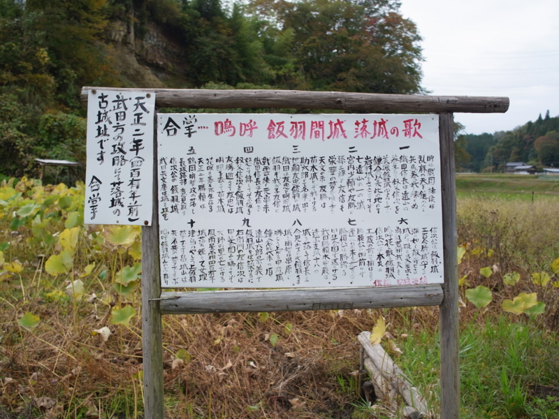 f:id:Greenweekends:20141026121506j:image:w640