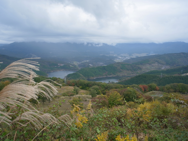 f:id:Greenweekends:20141026140306j:image:w640