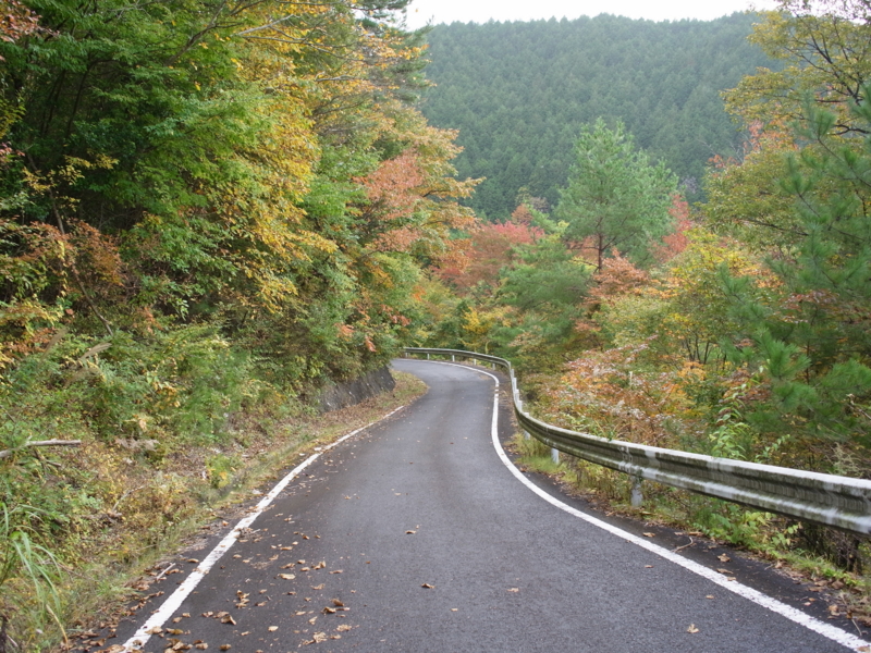 f:id:Greenweekends:20141026141345j:image:w640