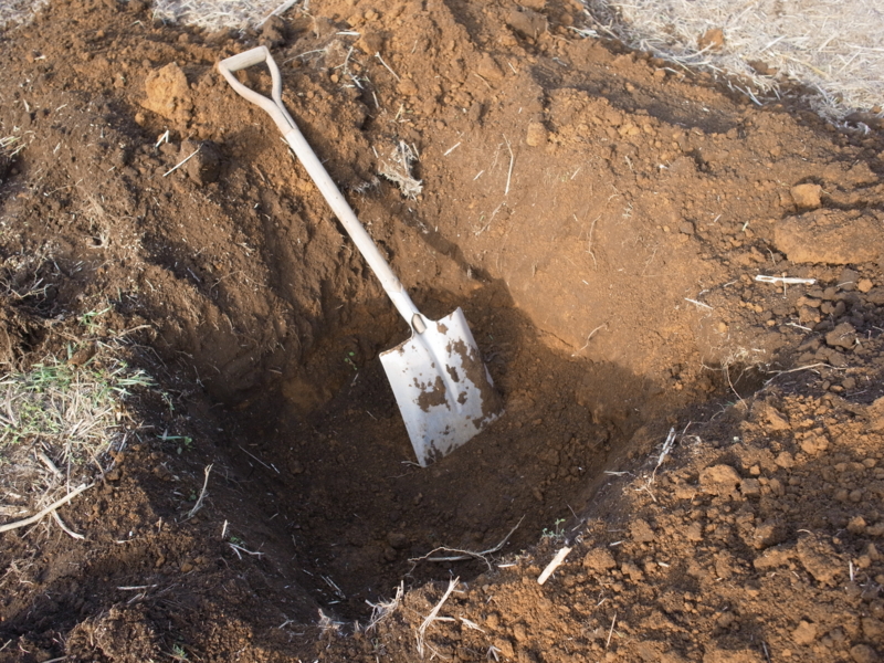 f:id:Greenweekends:20141228140902j:image:w640