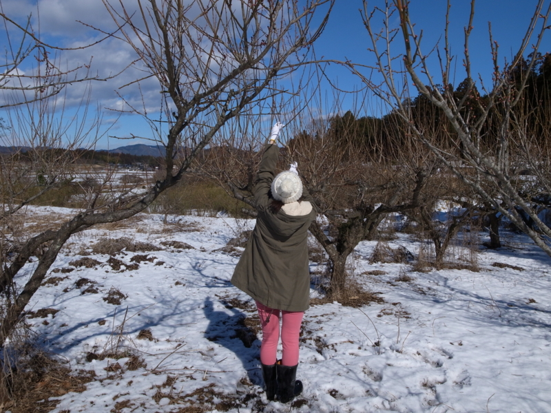 f:id:Greenweekends:20150131125518j:image:w640
