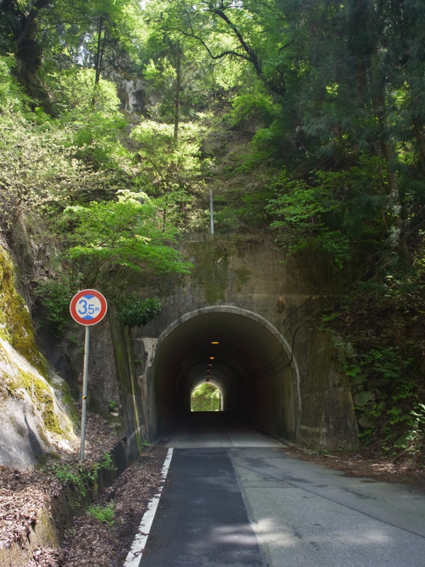 f:id:Greenweekends:20150430114624j:image:w640