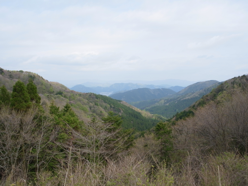 f:id:Greenweekends:20150430160211j:image:w640