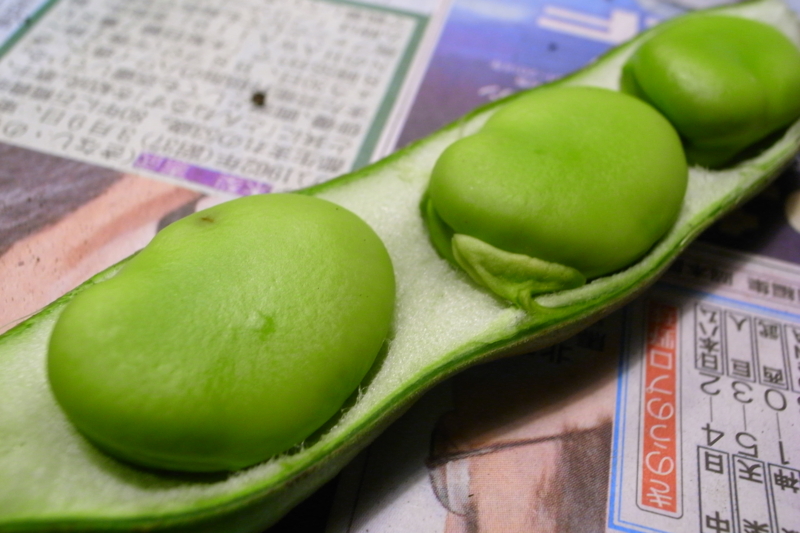 f:id:Greenweekends:20150530223033j:image:w640