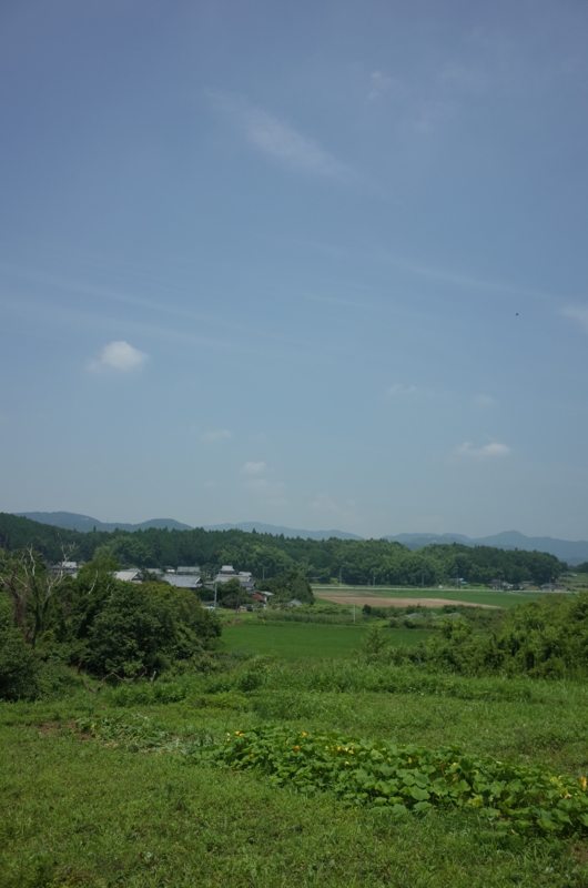f:id:Greenweekends:20150712111507j:image:w320