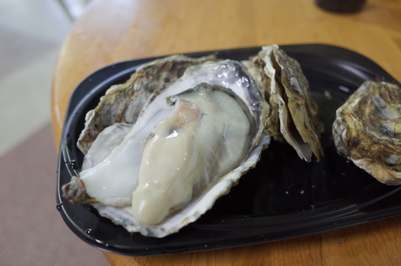 f:id:Greenweekends:20151004113038j:image:w640