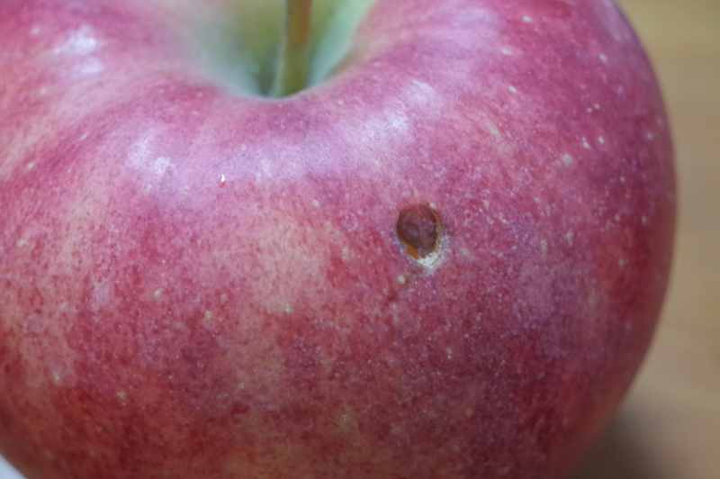 f:id:Greenweekends:20160604180227j:image:w640 f:id:Greenweekends:20160604180227j:image:w640