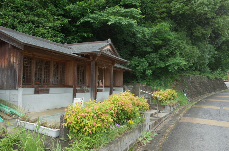 f:id:Greenweekends:20160605105138j:image:w640