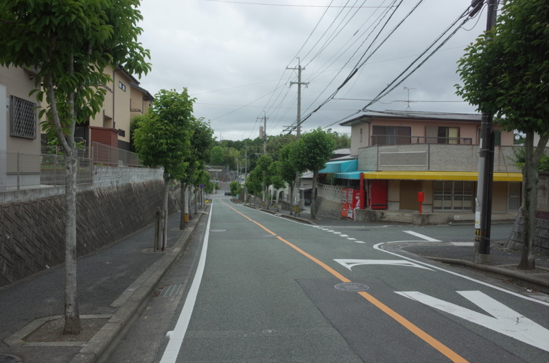 f:id:Greenweekends:20160605153351j:image:w640