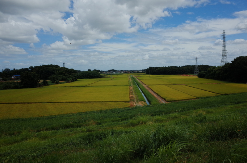 f:id:Greenweekends:20160816115842j:image:w640