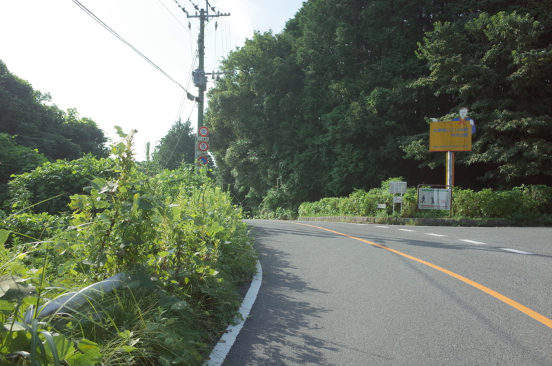 f:id:Greenweekends:20160821082041j:image:w640