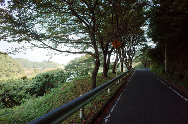 f:id:Greenweekends:20160821083656j:image:w640